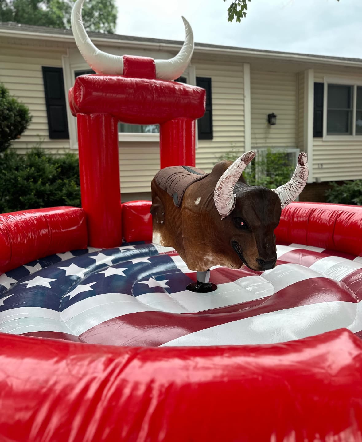Mechanical bull in its inflatable safety arena